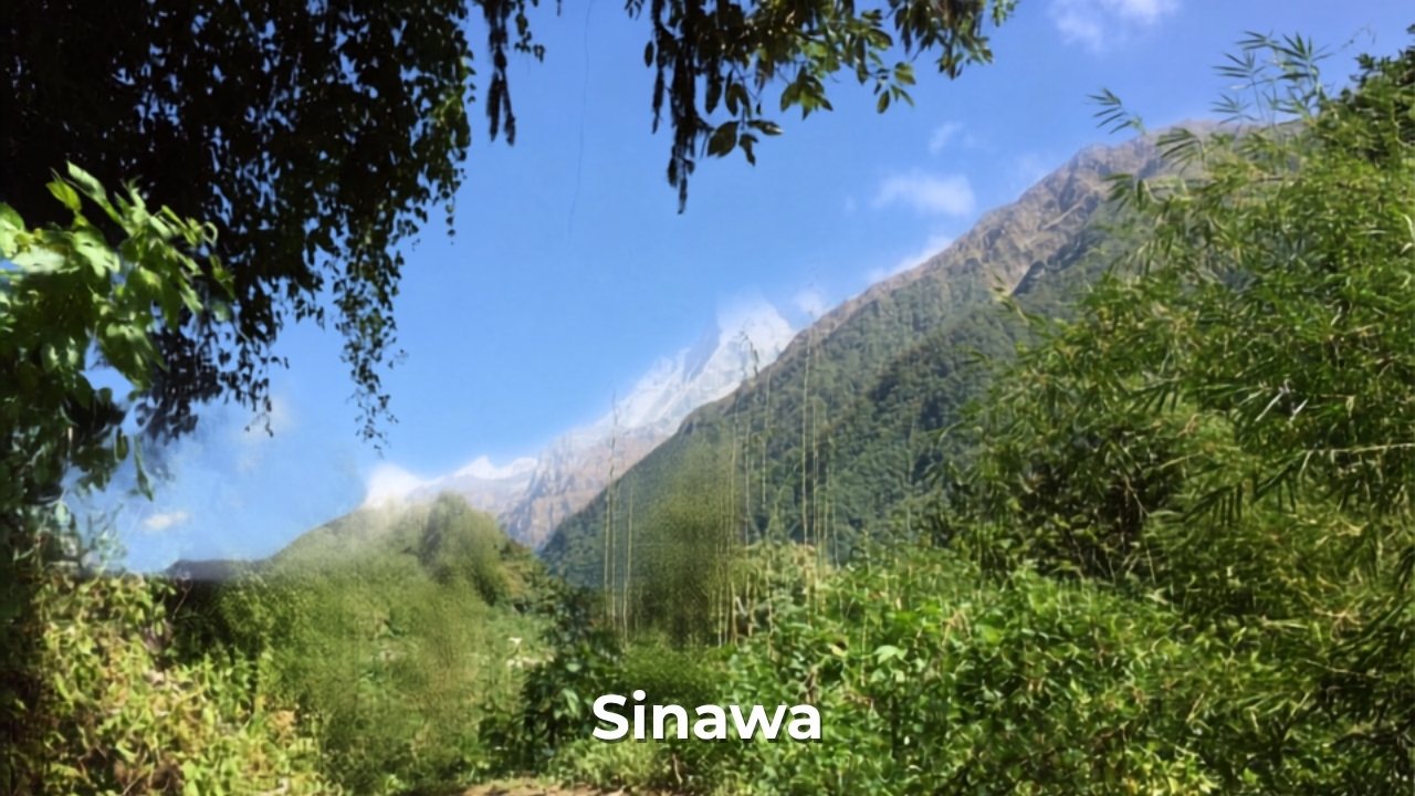 sinawa