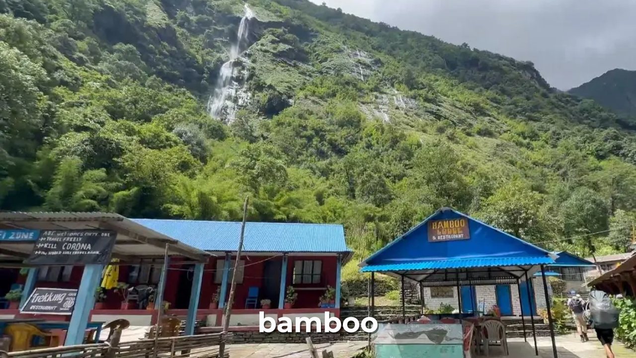 bamboo village