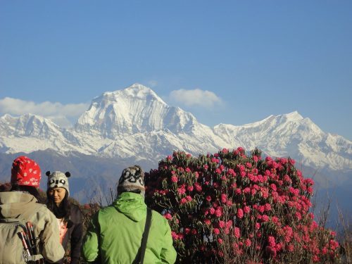 Annapurna Base Camp Trek