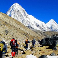 A Dedicated, Knowledgeable, and Truly Professional Guide