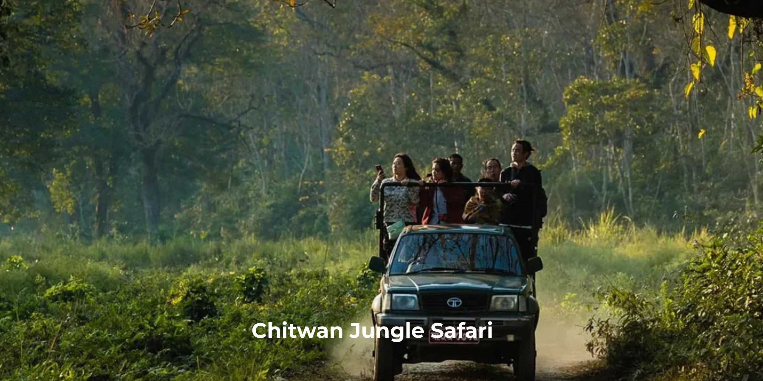 Chitwan Jungle Safari with wildlife tours, jeep rides, canoeing, and nature experiences in Chitwan National Park.