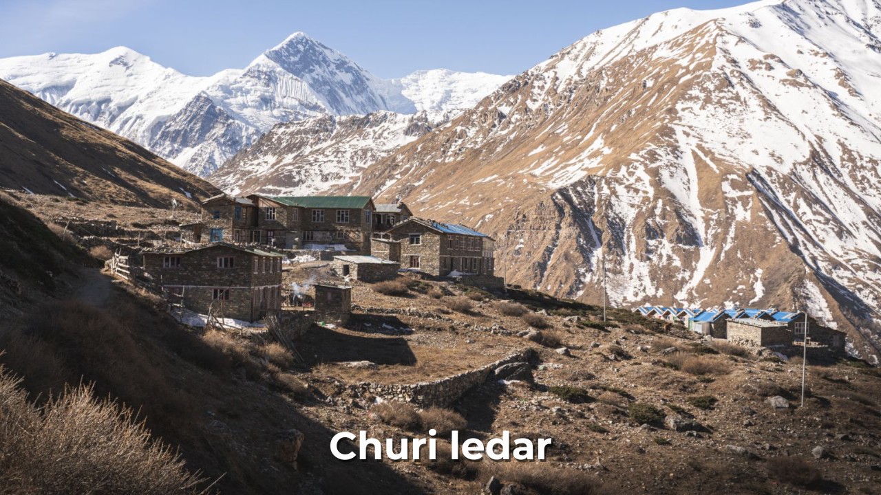 Churi ledar