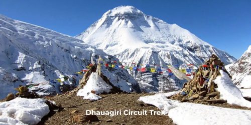 "Dhaulagiri Circuit Trek with glacier trails, high mountain passes, remote wilderness, and stunning Himalayan views."