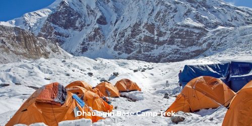 "Dhaulagiri Base Camp Trek with glacier scenery, mountain trails, remote wilderness, and breathtaking Himalayan views."