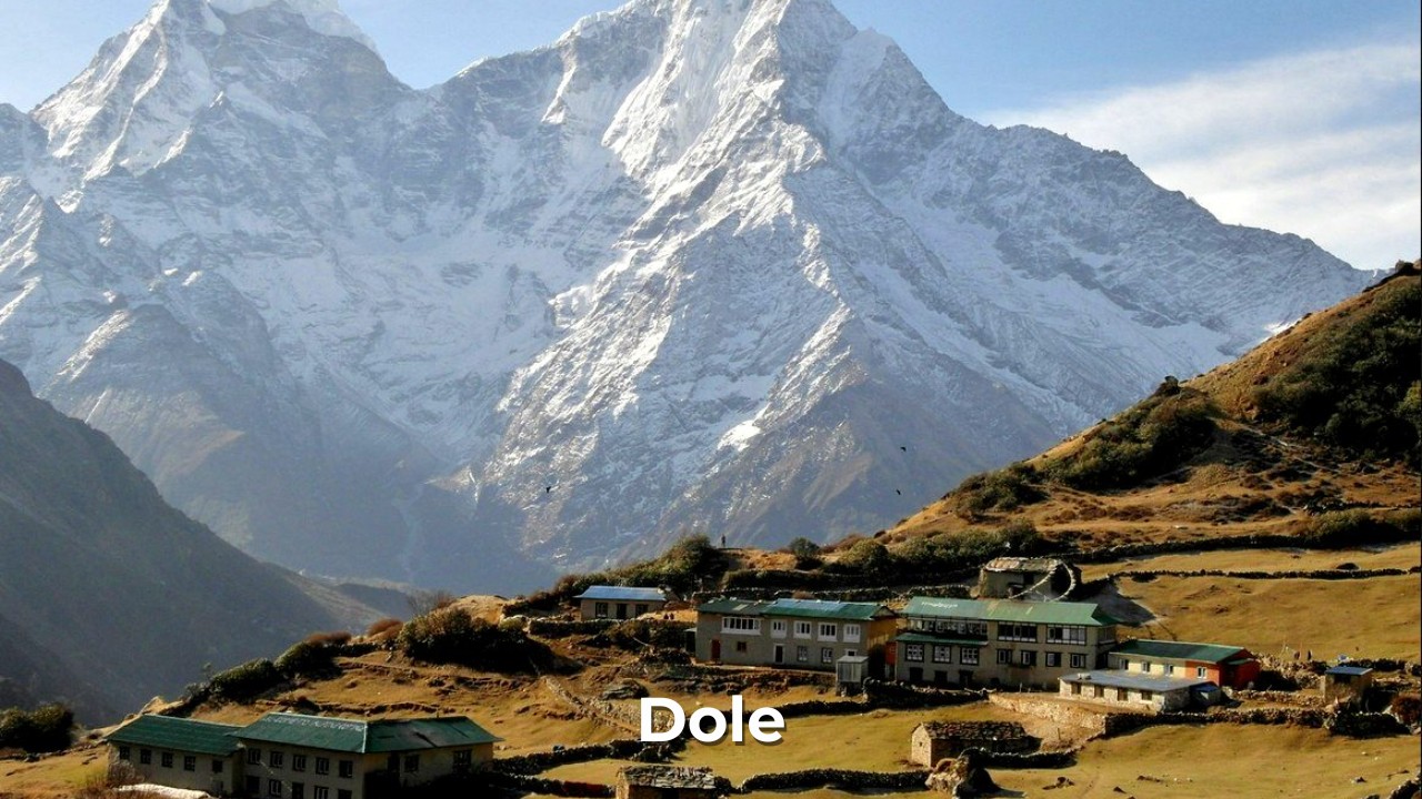 beautiful dole