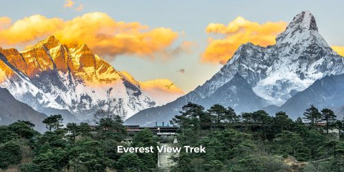 Everest Panoramic View