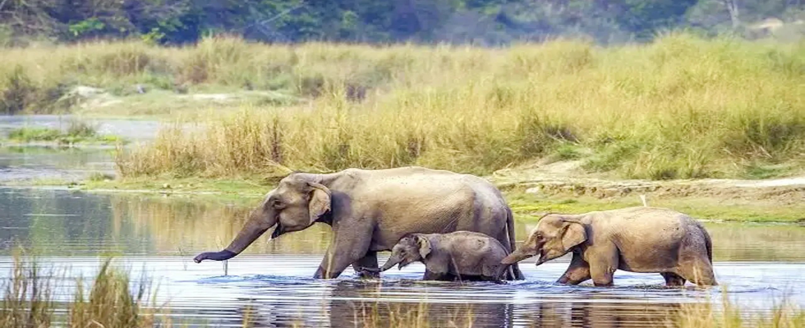 Family Tour in Nepal