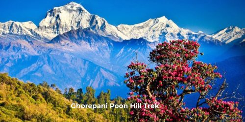 "Ghorepani Poon Hill Trek with sunrise Himalayan views, village trails, rhododendron forests, and Annapurna panoramas."