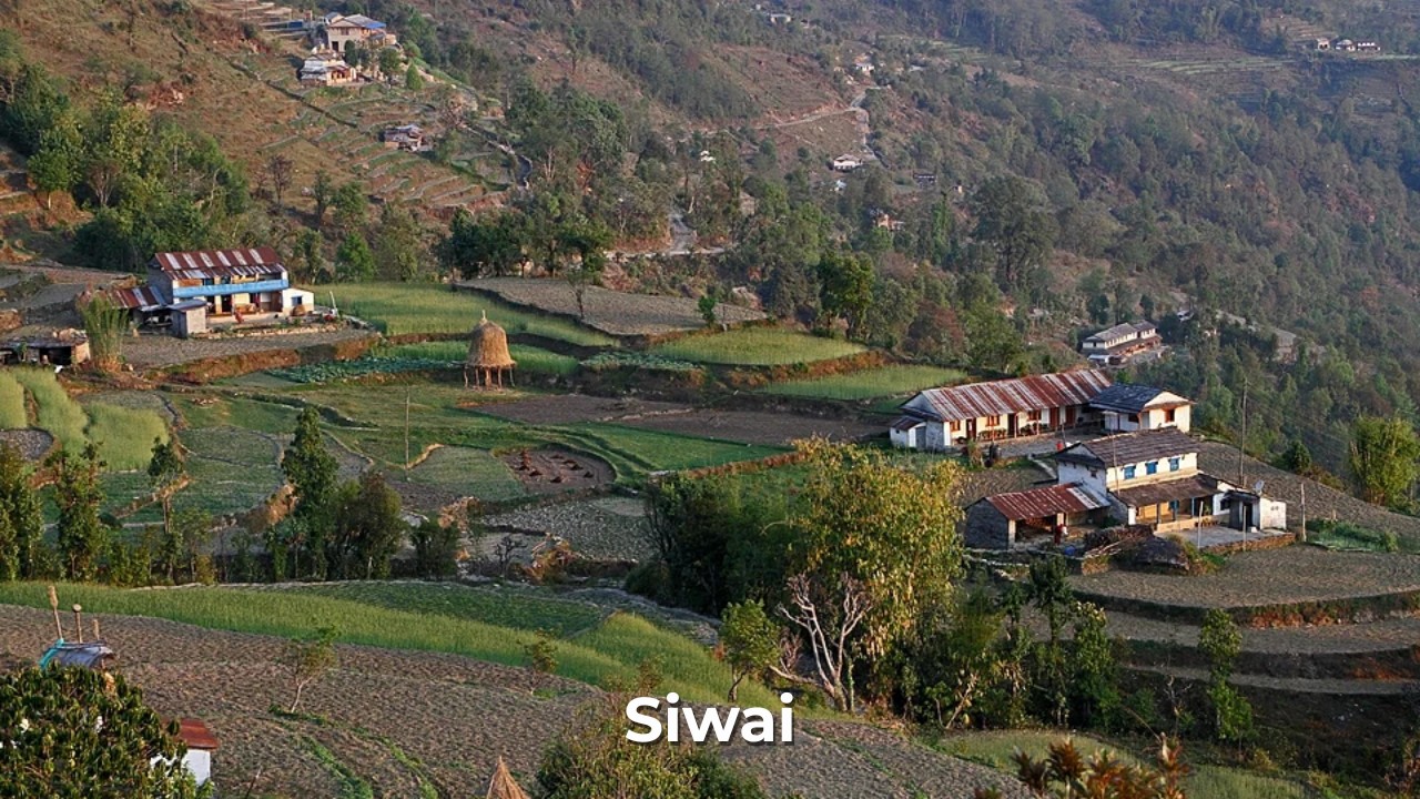 Siwai View