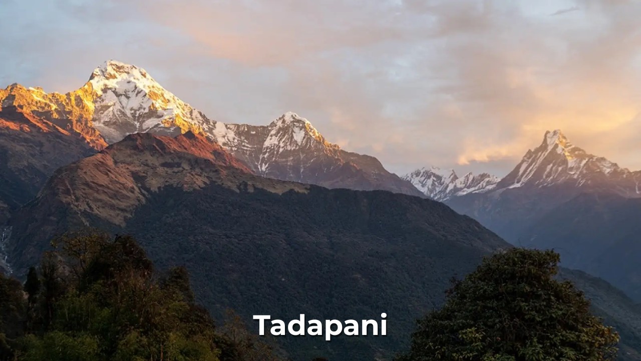 Tadapani