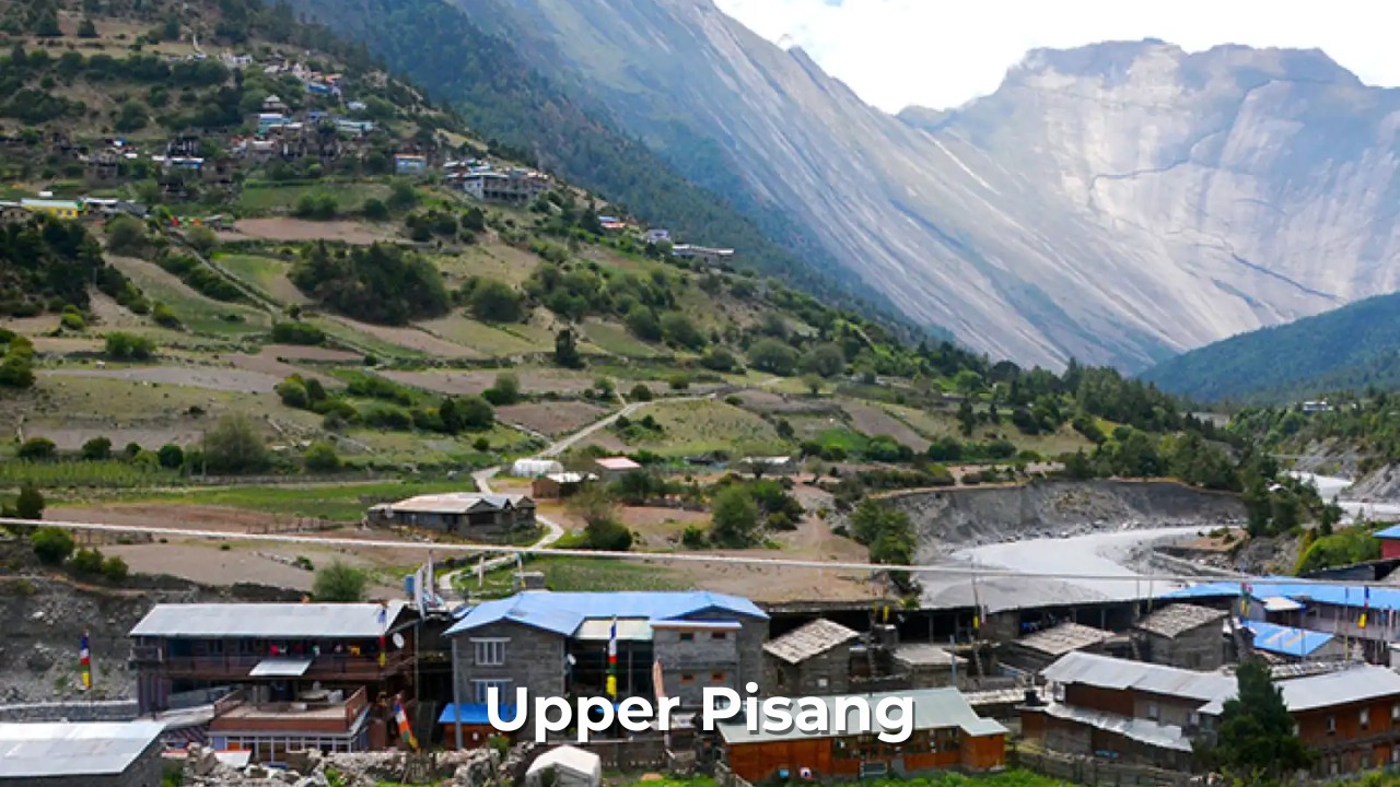 pisang village 