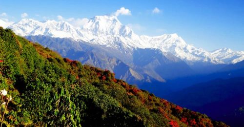 Ghorepani Poon Hill Trek