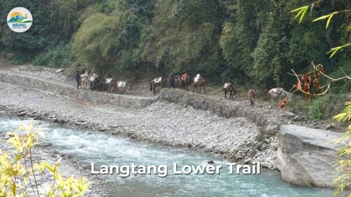 Langtang Lower Trail