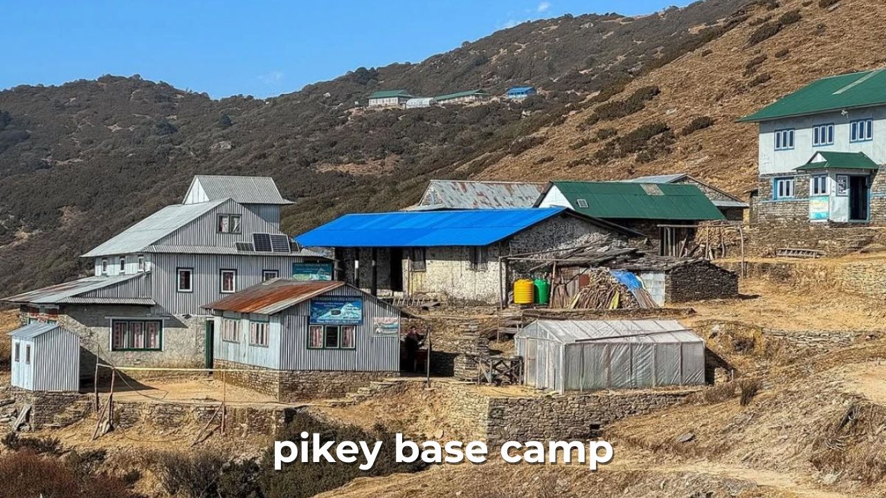 Pikey Base C amp